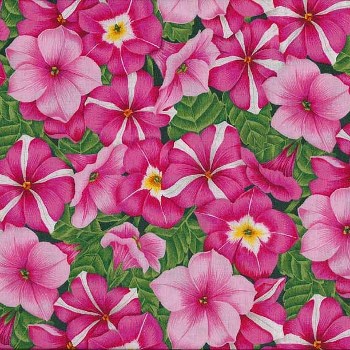 Emmas Flowers by Makower - Petunias Pink
